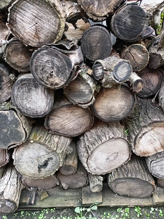 Дрова.  плодові.
