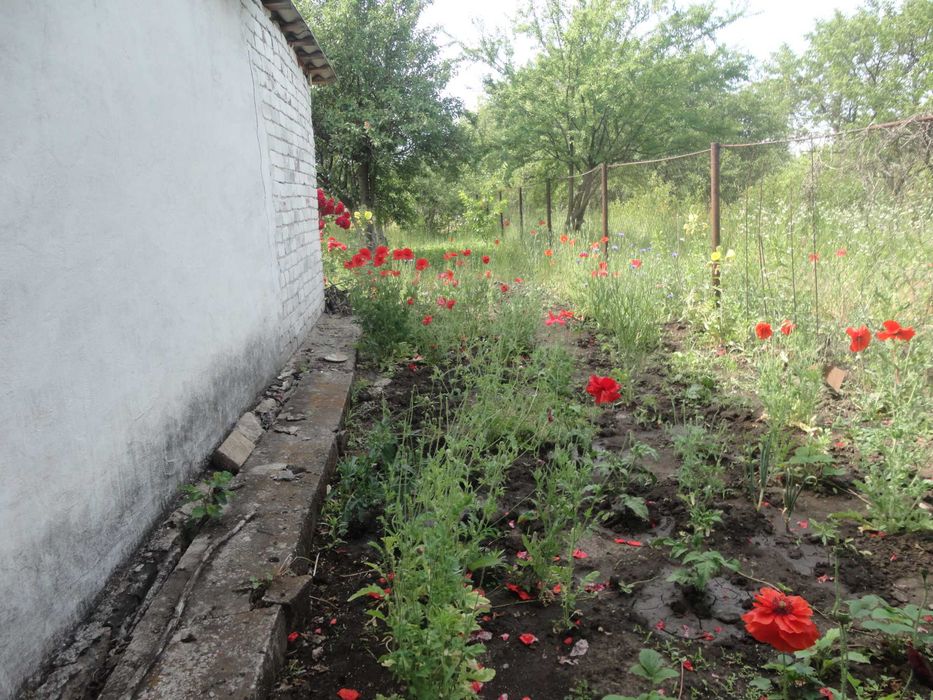 ДАЧА, Дніпро, Дніпровський район (Дніпро-2) Не далеко від "Старі Кодаки" (скрин карти додаю) (дача Днепр)