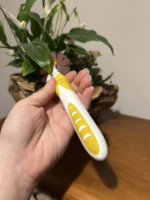 Escova dentes justin bieber