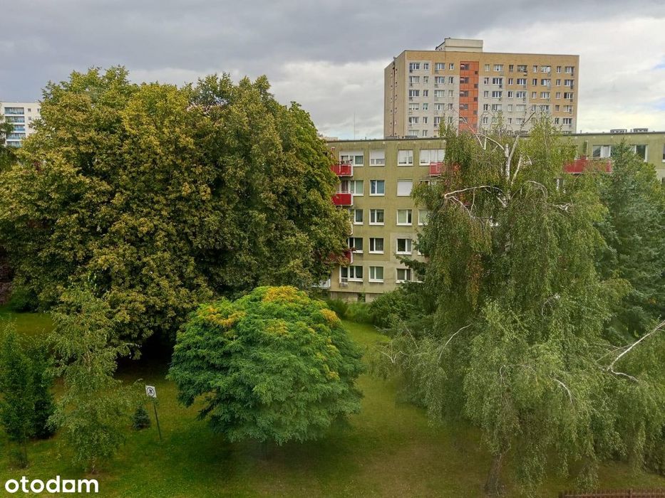 Kawalerka na Winogradach - niski blok!