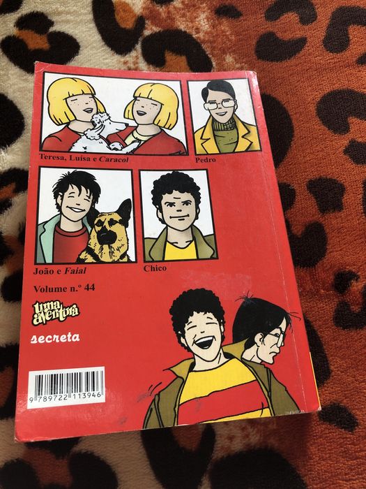 Livro de Uma Aventura no Castelo dos Ventos de Ana Maria Magalhaes