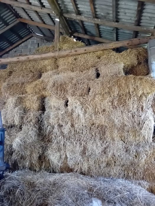 Słoma i siano w kostkach