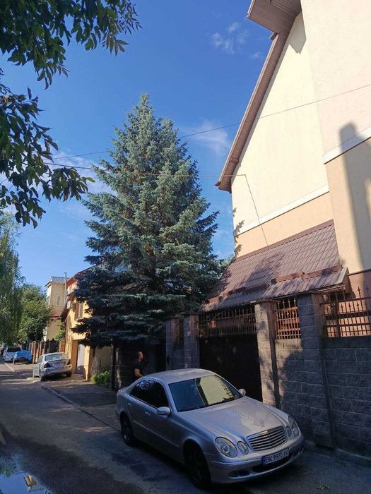 Зрізання дерев Рівне. Розчищення ділянок. Швидко та акуратно.