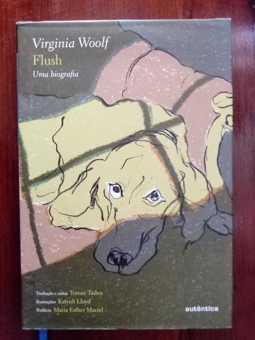 Virginia Woolf - Flush, uma biografia