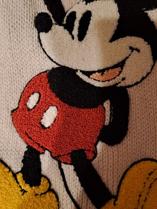 Super ubranko dla psa firmy Disney H&M