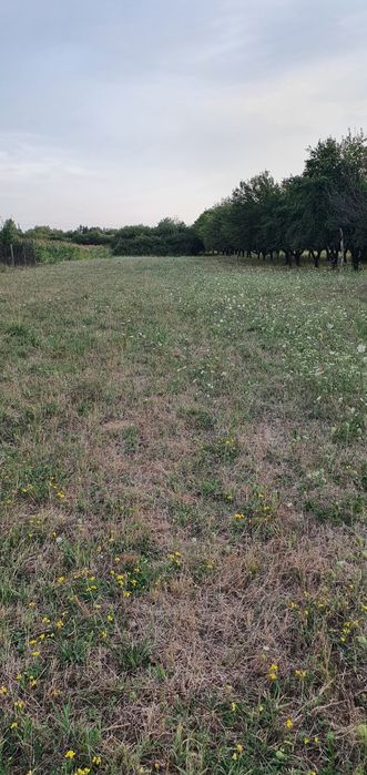 Земельна ділянка під будівництво з кумінікаціями в с. Паладь  Комарівці