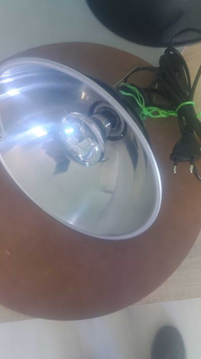Lampy do terarium