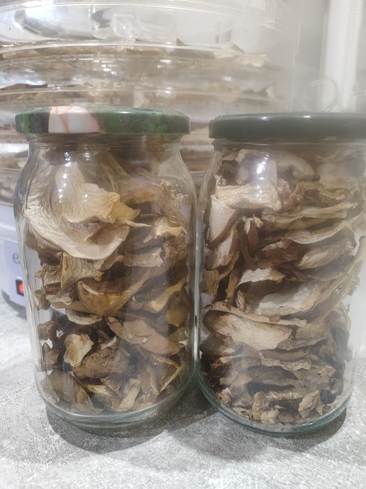 Sprzedam suszone prawdziwki 2025- 3 słoiki