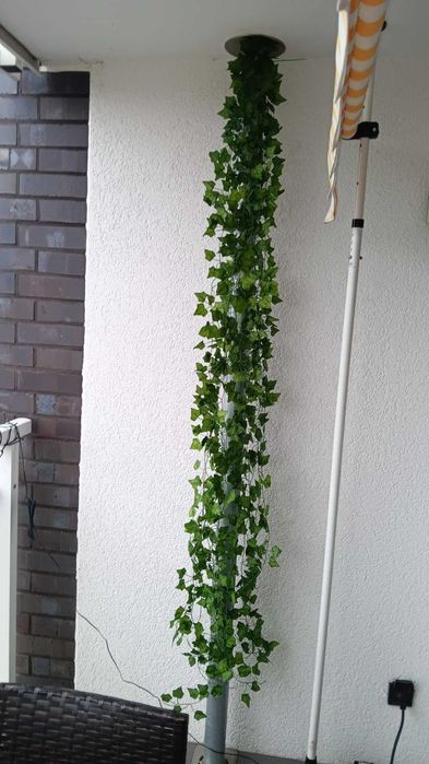 Sztuczny bluszcz 50 m na ścianę balkon taras dekoracja 50 metrów