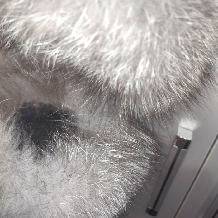 Продам навушники із хутра чорнобурої лисиці