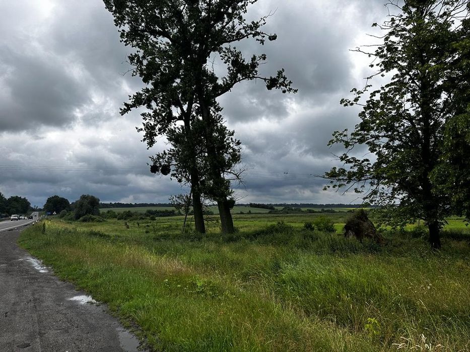 Земельна ділянка с.Дідилів