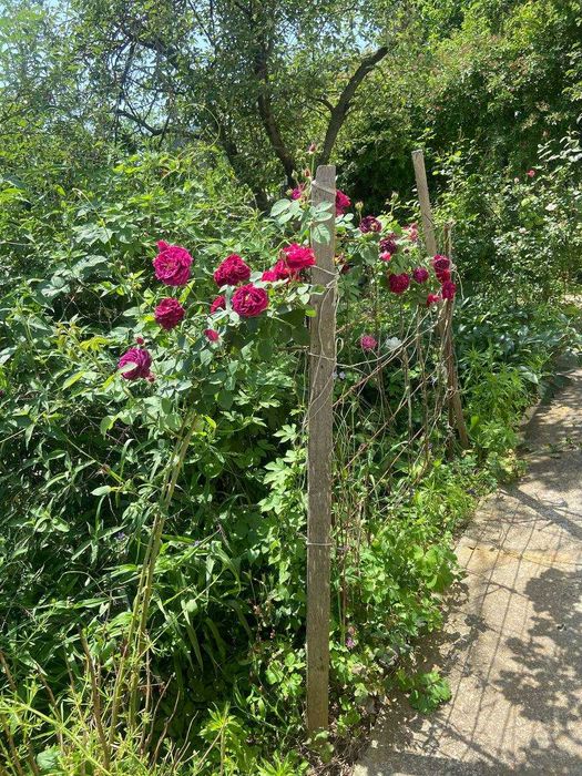 Дом по адресу ул. Магистратская (площадь 55 м²) - Atlanta.ua - фото 10