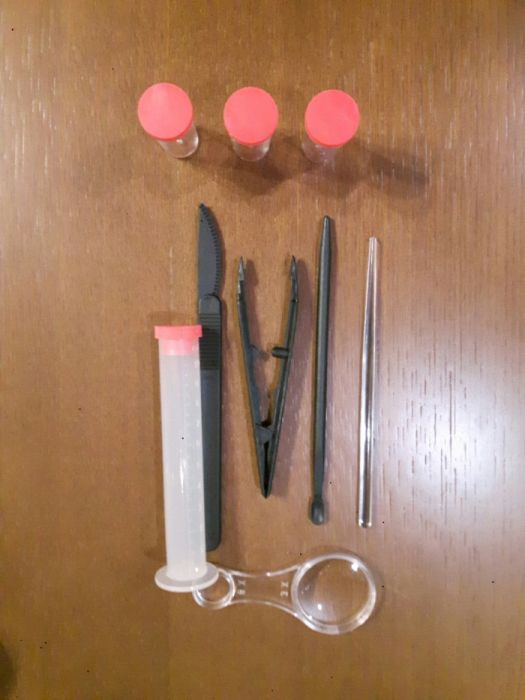 Microscópio Edu Science e diferentes acessórios (ver fotos)