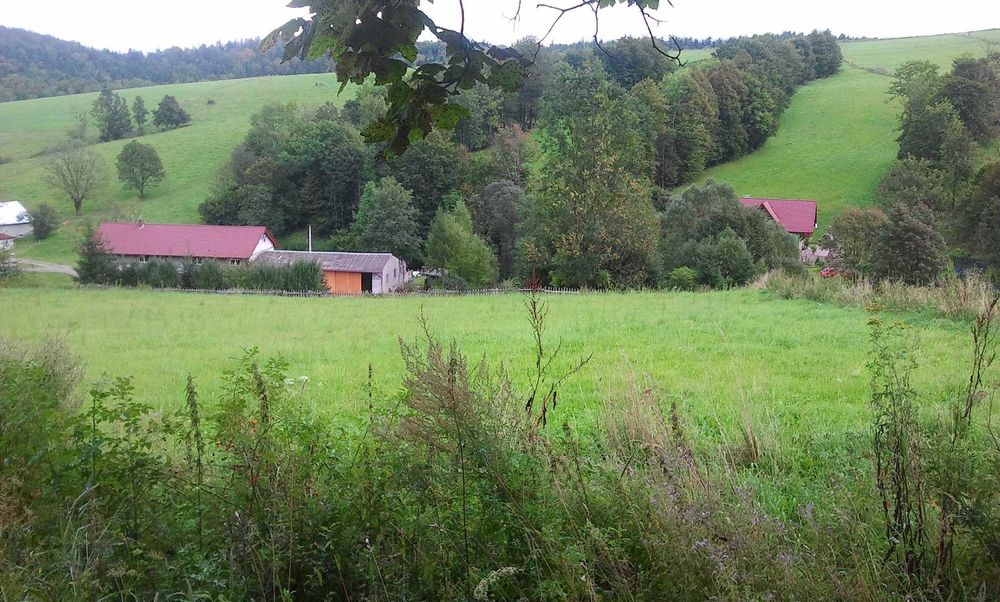 Sprzedam działkę 80 ar, obok wyciągu Kiczera-Ski, koło Rymanowa Zdrój