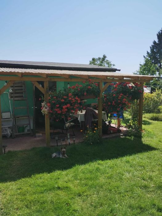 Działka ROD "BRUS" murowany domek, altanka