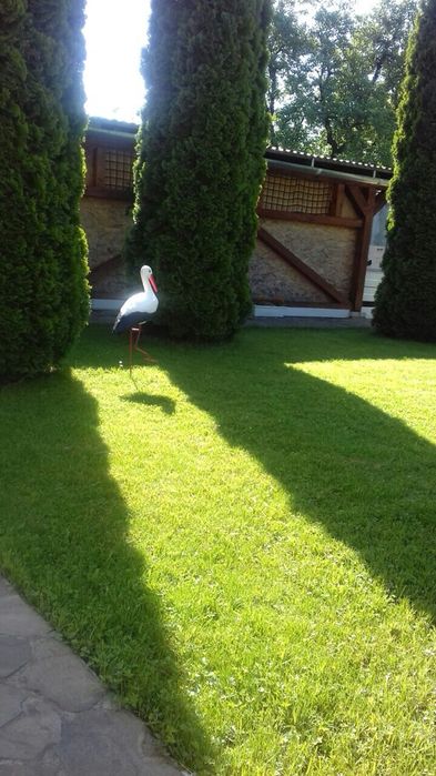 Здається  будинок в затишному місці Свалява!