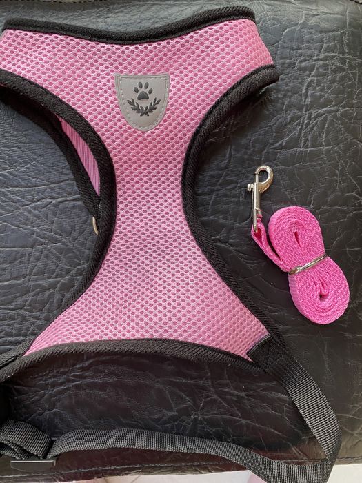Arnês - Cor de rosa