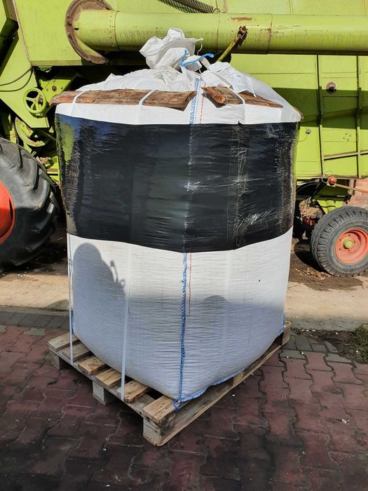 Nasiona Lucerny Transport Kurierem Lucerna Oczyszczone Ziarno Lucernę