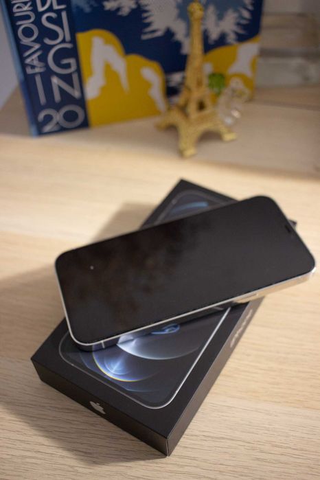 IPhone 12 Pro Max 256gb - Novo com Garantia GMS