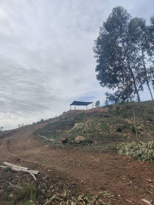 Terreno Rústico 5000m2