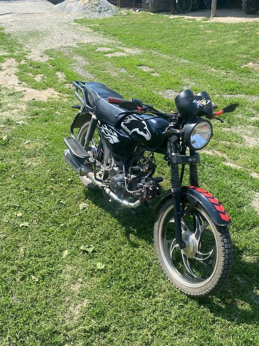 Альфа мустанг 125