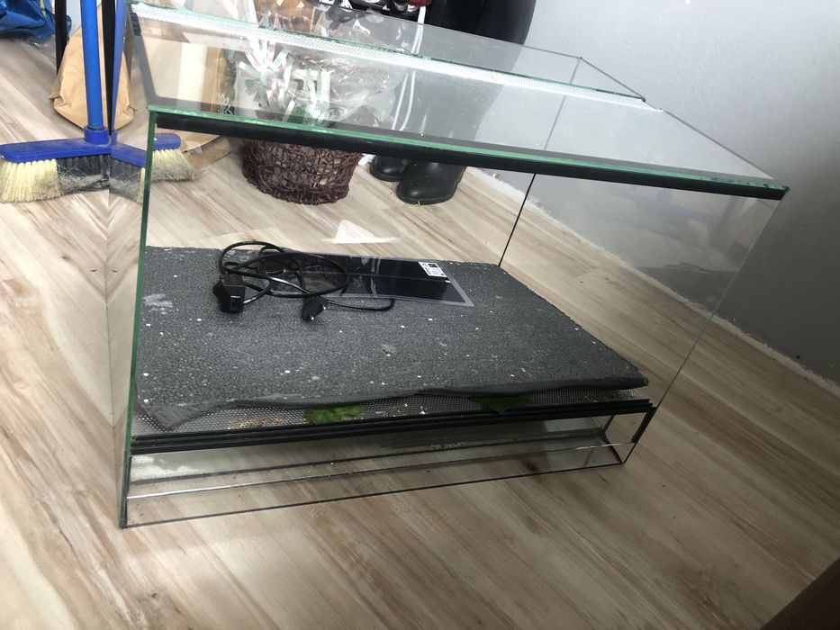 Terrarium dla gekona