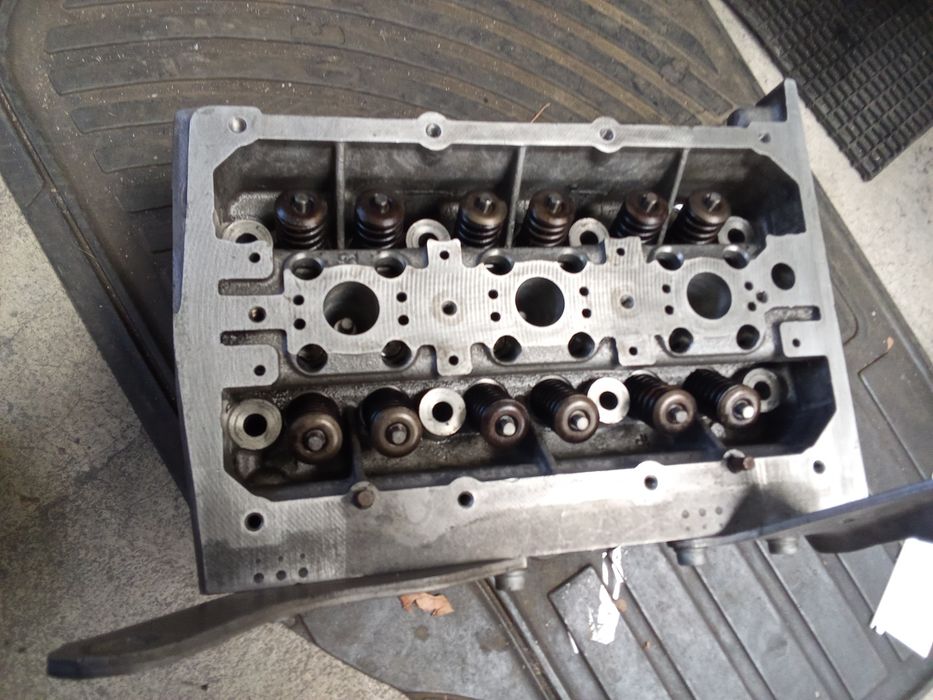 Cabeça polo e Peugeot