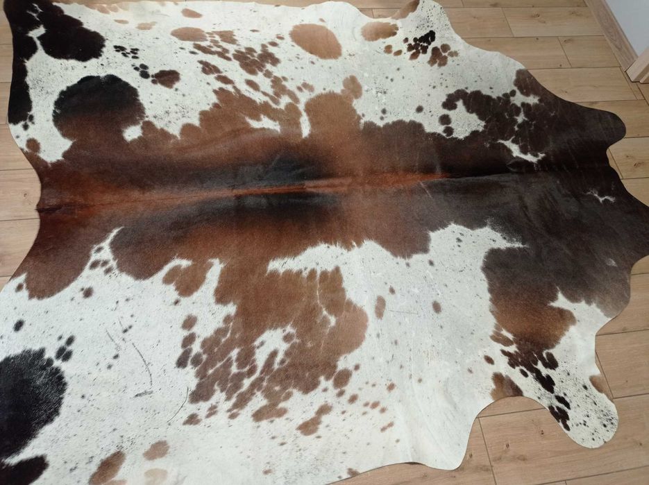 Ogromna Skóra Krowia Naturalna 225x215 cm – Łaciaty TRICOLOR, Unikat