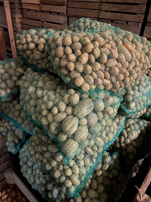 Ziemniaki drobne  paszowe dla zwierząt