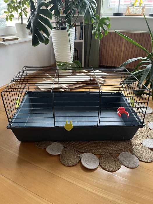 Klatka dla świnki morskiej/królika/szynszyli/koszatniczki