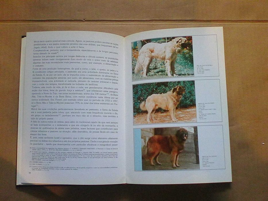 O Cão da Serra da Estrela