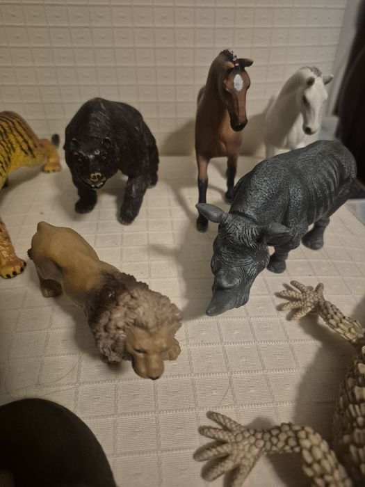 Lote de animais de muita qualidade