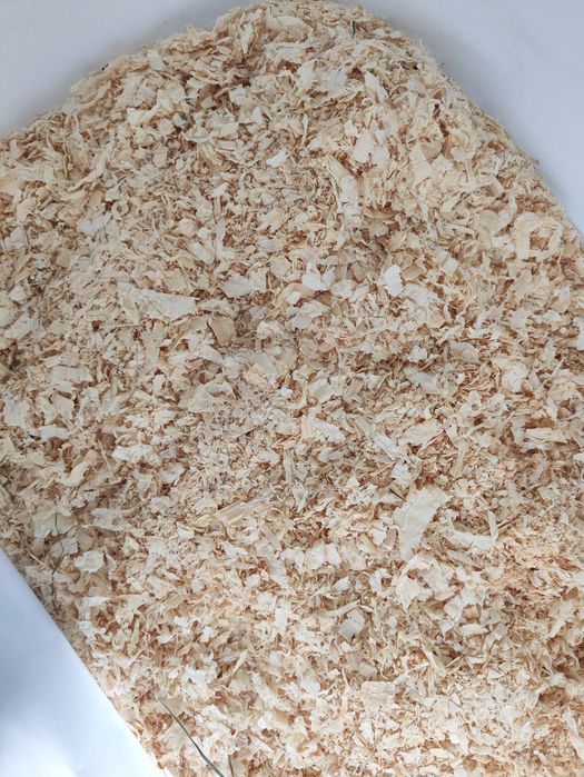 Trociny 5 kg dla zwierząt