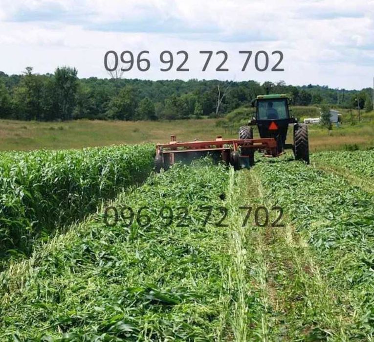 Семена Суданки! Засухоустойчивая! Отправка от 1кг! Тонкостебельная!