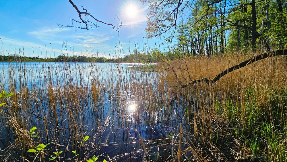 Jezioro Gromskie, Leleskie, działka budowlana na Mazurach