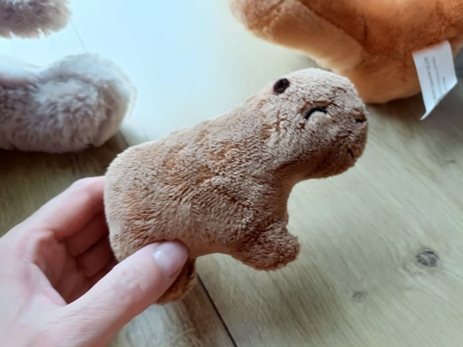 Maskotki kapibara miś duszek
