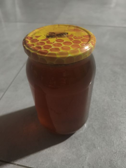 Miód spadziowo-wielokwiatowy