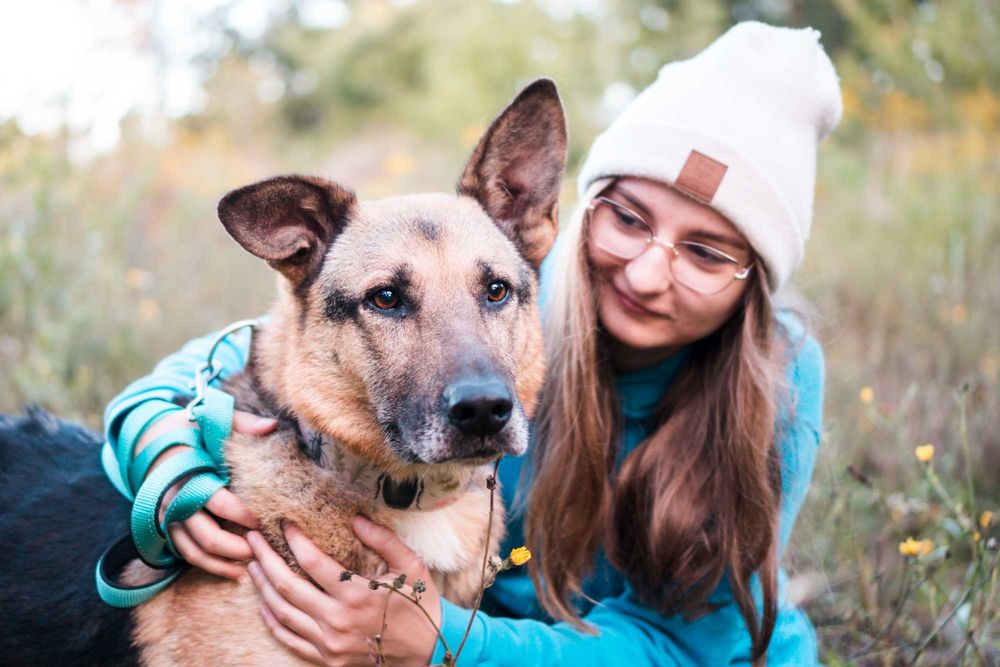 10 letni Potter szuka domu!