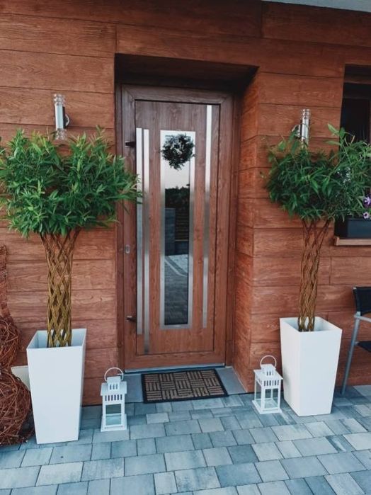 Wierzba pleciona, drzewko ozdobne