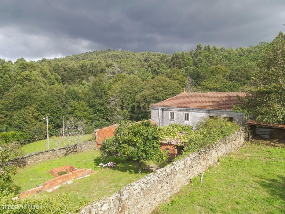 Moradia T3 com terreno e poço