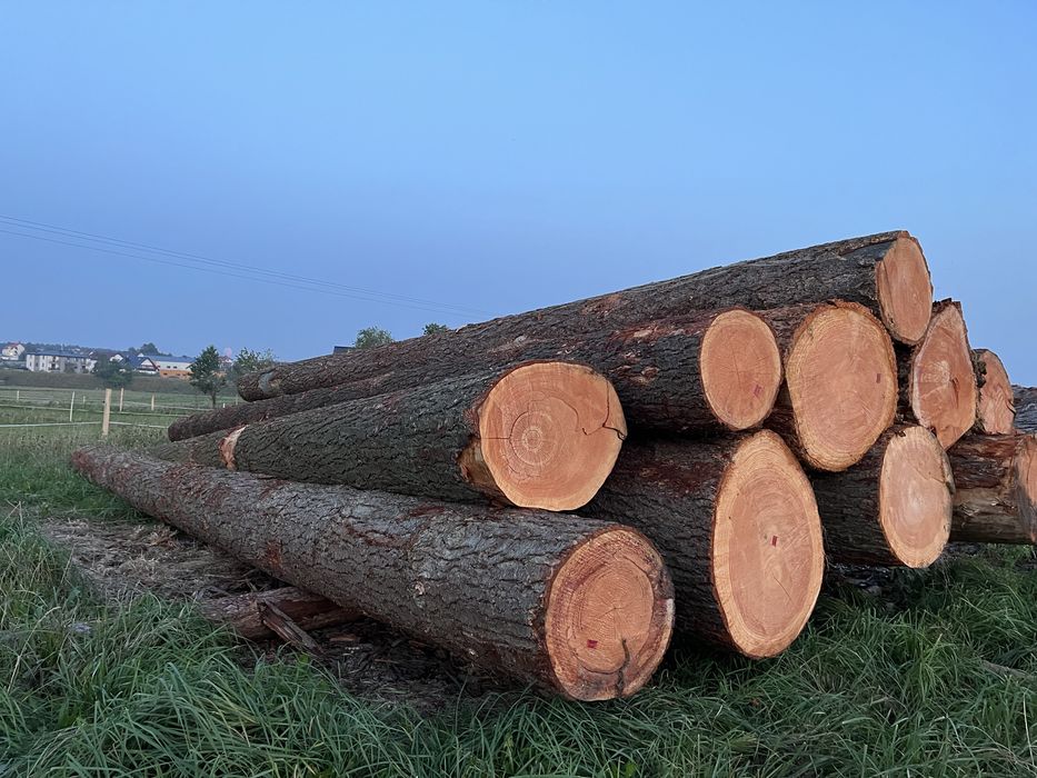 Daglezja tartaczna transport 3 grubosc