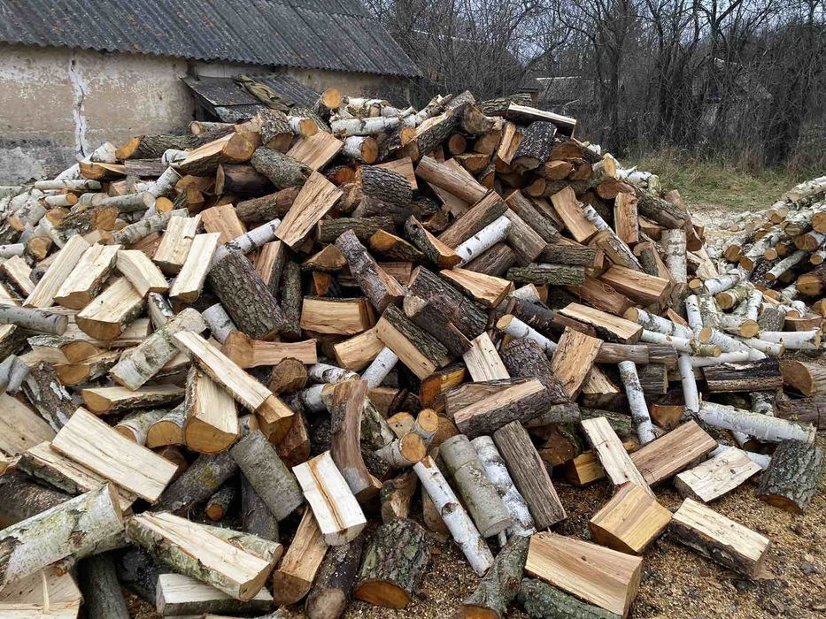 Продам дрова колоті, різних порід