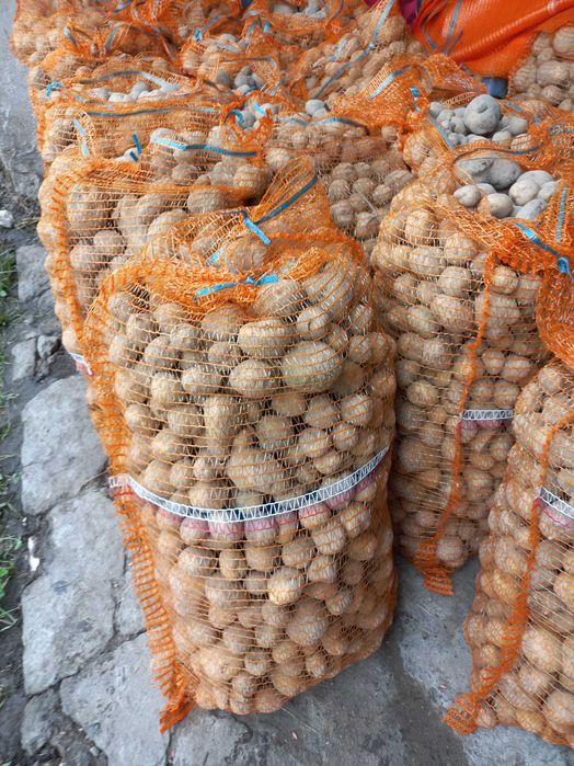 Ziemniaki paszowe/odpadowe