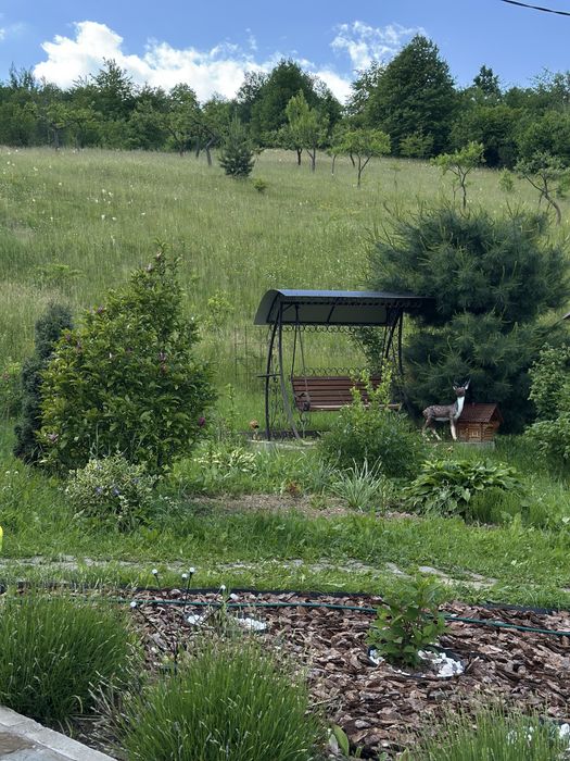Садиба «Вакація»