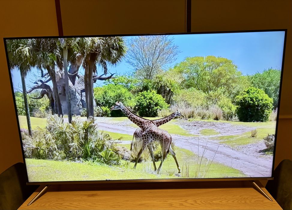 Smart tv TCL 55 polegadas