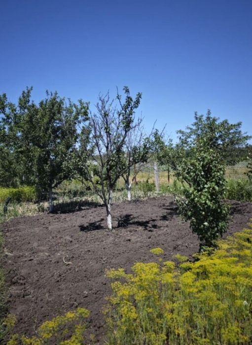 Продам будинок село Хуторське з великим участком 50 сот