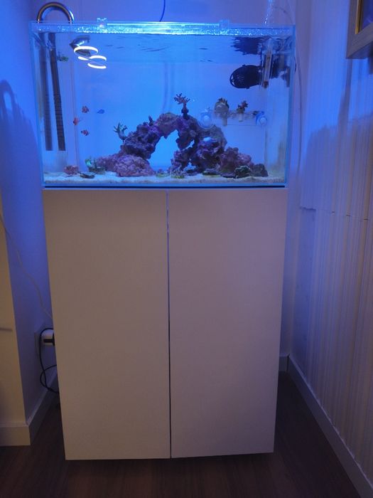Aquário marinho/doce completo