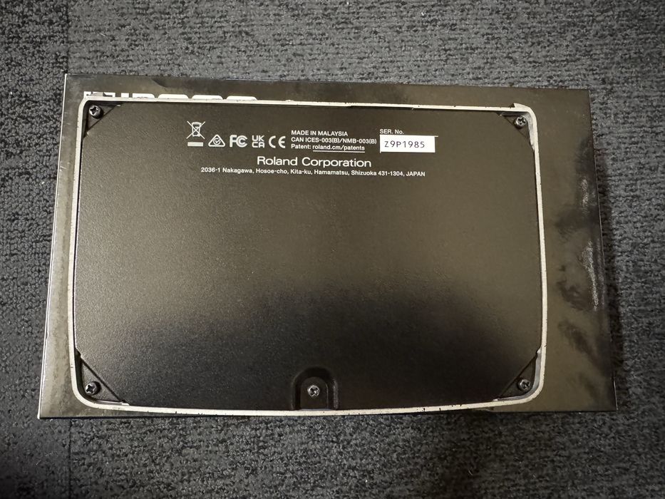 Boss DM-101 delay mint