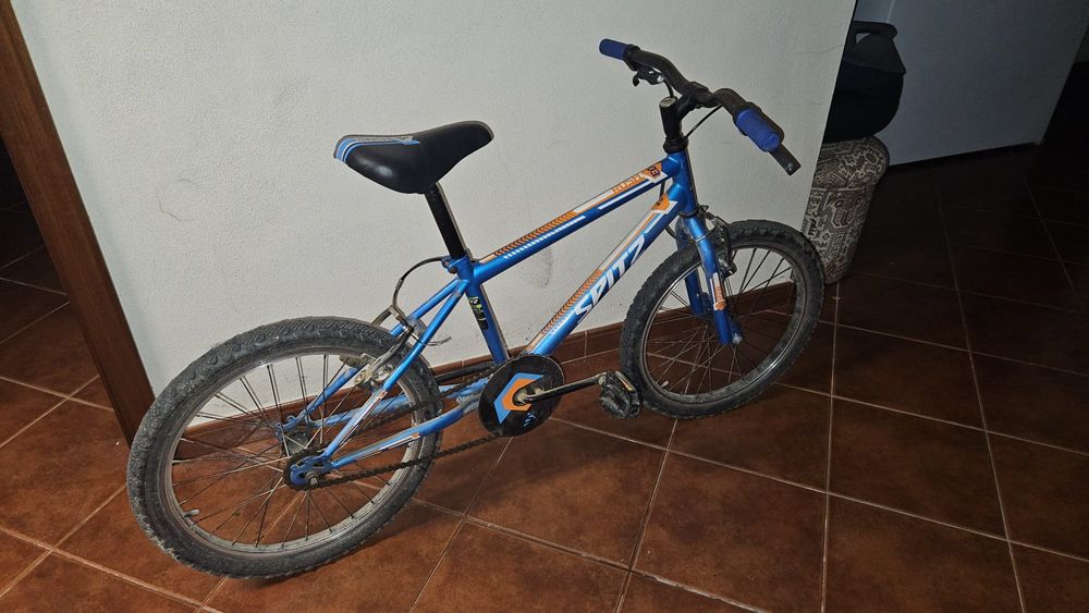 Bicicleta (a partir dos 6 anos)