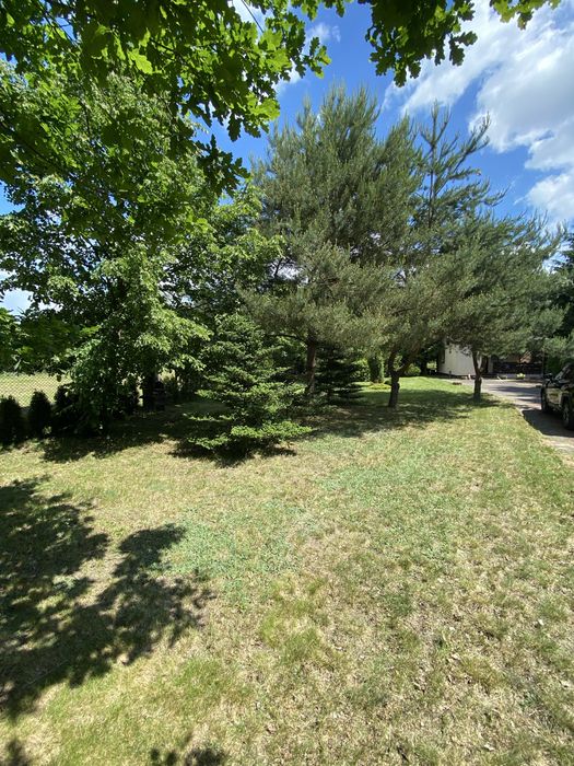 Działka budowlana Cieksyn 1000 m² - Widok 2
